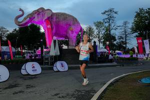 BIB: 
                            <button type="button" onclick="openModal(26529663)" class="btn btn-primary btn-sm float-right btn-popup" data-toggle="modal" data-target=".modal-high-quality">
                        <i class="fas fa-shopping-cart"></i> Add to Cart
                    </button>
                                            <button type="button" onclick="isThisMe(26529663, true)" class="btn btn-success btn-sm float-right btn-popup btn-isme hidden" data-toggle="tooltip" data-placement="bottom" title="นี่คือรูปของคุณใช่ไหม คลิกที่นี่เพื่อเอาเข้าอัลบั้ม">
                        <i class="fas fa-plus"></i> Add to album
                    </button>
                    <button type="button" onclick="isThisMe(26529663, false)" class="btn btn-warning btn-sm float-right btn-popup btn-isnotme hidden">
                        <i class="fas fa-ban"></i> Remove from album
                    </button>